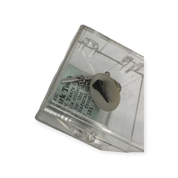 Genuine shark tooth cuff link in a clear box - Picture 5 of 12